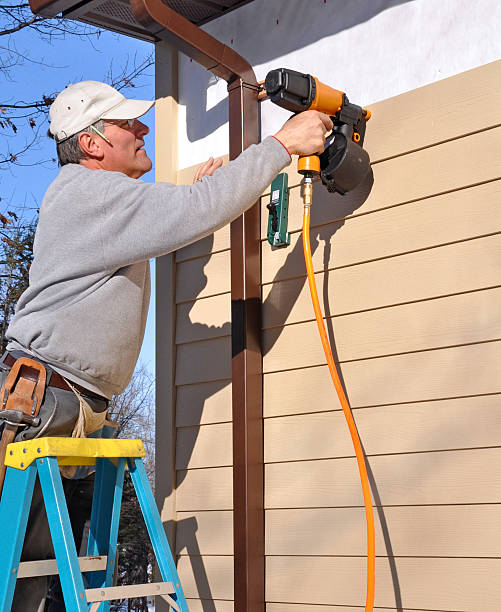 Affordable Siding Repair and Maintenance Services in Fox Lake, IL